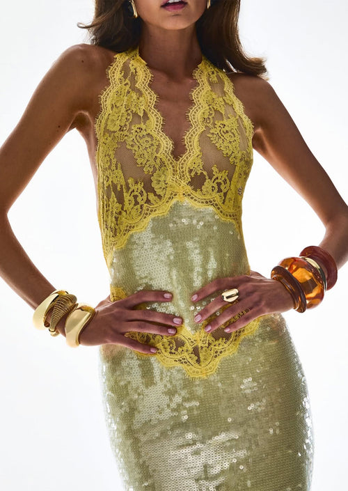 Julieta Sequin Lace Midi Dress