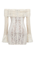 Vintage Floral Lace Off Shoulder Mini Dress