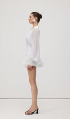 Solid Lantern Sleeve Mini Dress