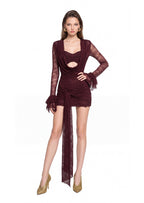Kaida Long Sleeve Lace Mini Dress