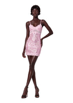 Hadassah Lace  Sequin Mini Dress