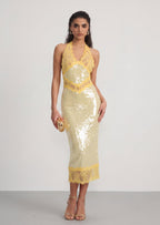 Julieta Sequin Lace Midi Dress