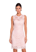 Yadiel Lace Sleeveless Mini Dress In Pink