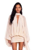 Sabiti Sheer Puff Sleeve Mini Dress