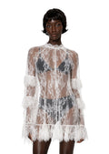 Iceland Long Sleeved Lace Mini Dress