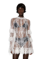 Iceland Long Sleeved Lace Mini Dress