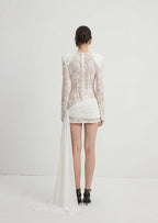 Sequin Embellished Lace Mini Dress