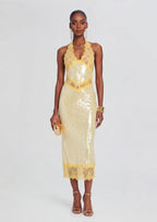 Julieta Sequin Lace Midi Dress