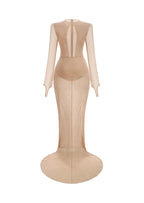Zakhar High Neck Sheer Maxi Dress