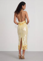 Julieta Sequin Lace Midi Dress