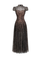 Ulyana Lace Sequined Maxi Dress In Black