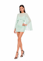 Eamon Long Sleeved Stretch Mini Dress