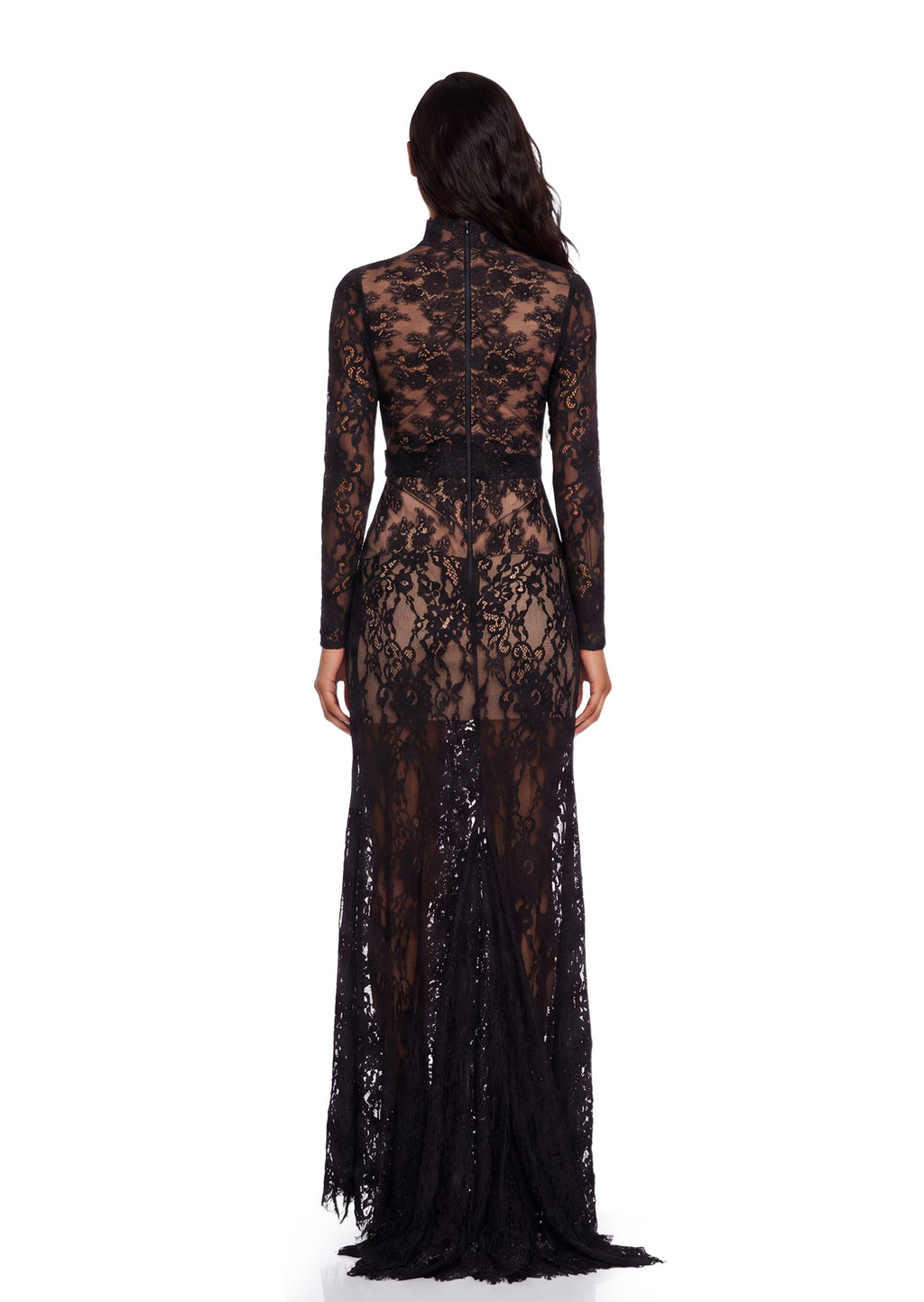 Xerxes Lace Sheer Maxi Dress In Black