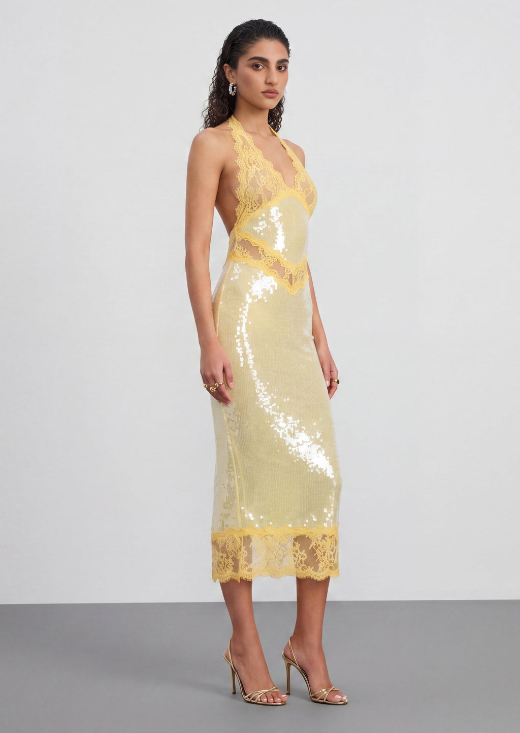 Julieta Sequin Lace Midi Dress