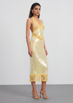 Julieta Sequin Lace Midi Dress