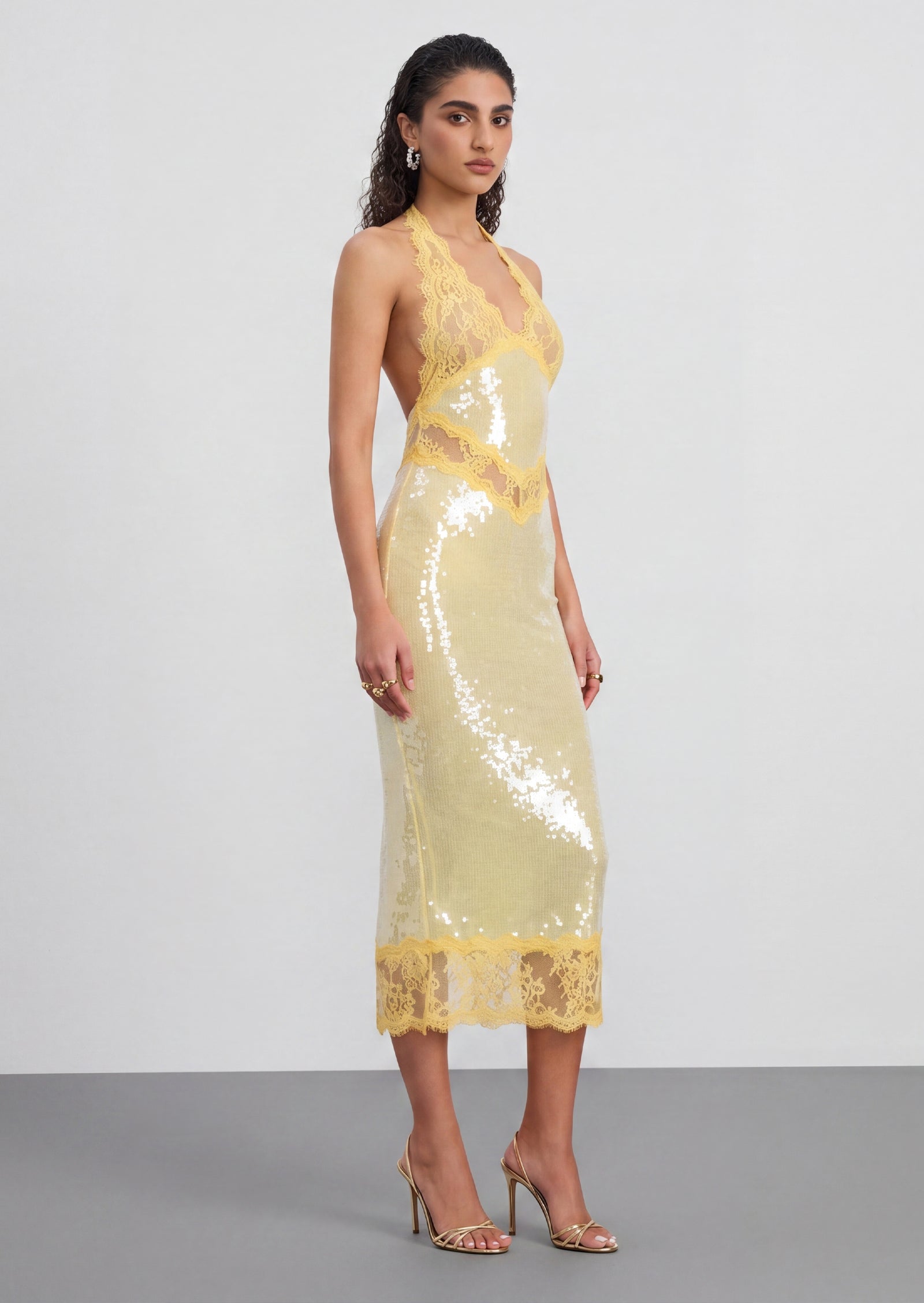 Julieta Sequin Lace Midi Dress