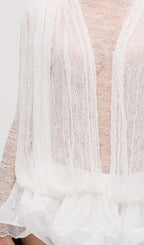Lace Semi Sheer Ruffled Mini Dress