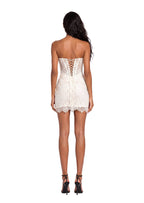 Paley Strapless Lace  Top &  Mini Skirt Set