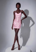 Hadassah Lace  Sequin Mini Dress
