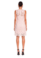 Yadiel Lace Sleeveless Mini Dress In Pink