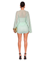 Eamon Long Sleeved Stretch Mini Dress