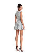 Aris Sleeveless Mini Dress