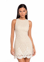 Sachet Sleeveless Lace Mini Dress