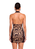 Daeira Halter Neck Lace Mini Dress