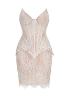Paley Strapless Lace  Top &  Mini Skirt Set