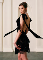 Mini Embroidered Black Velvet Gown