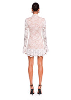 Baeddan Lace Mini Dress In White
