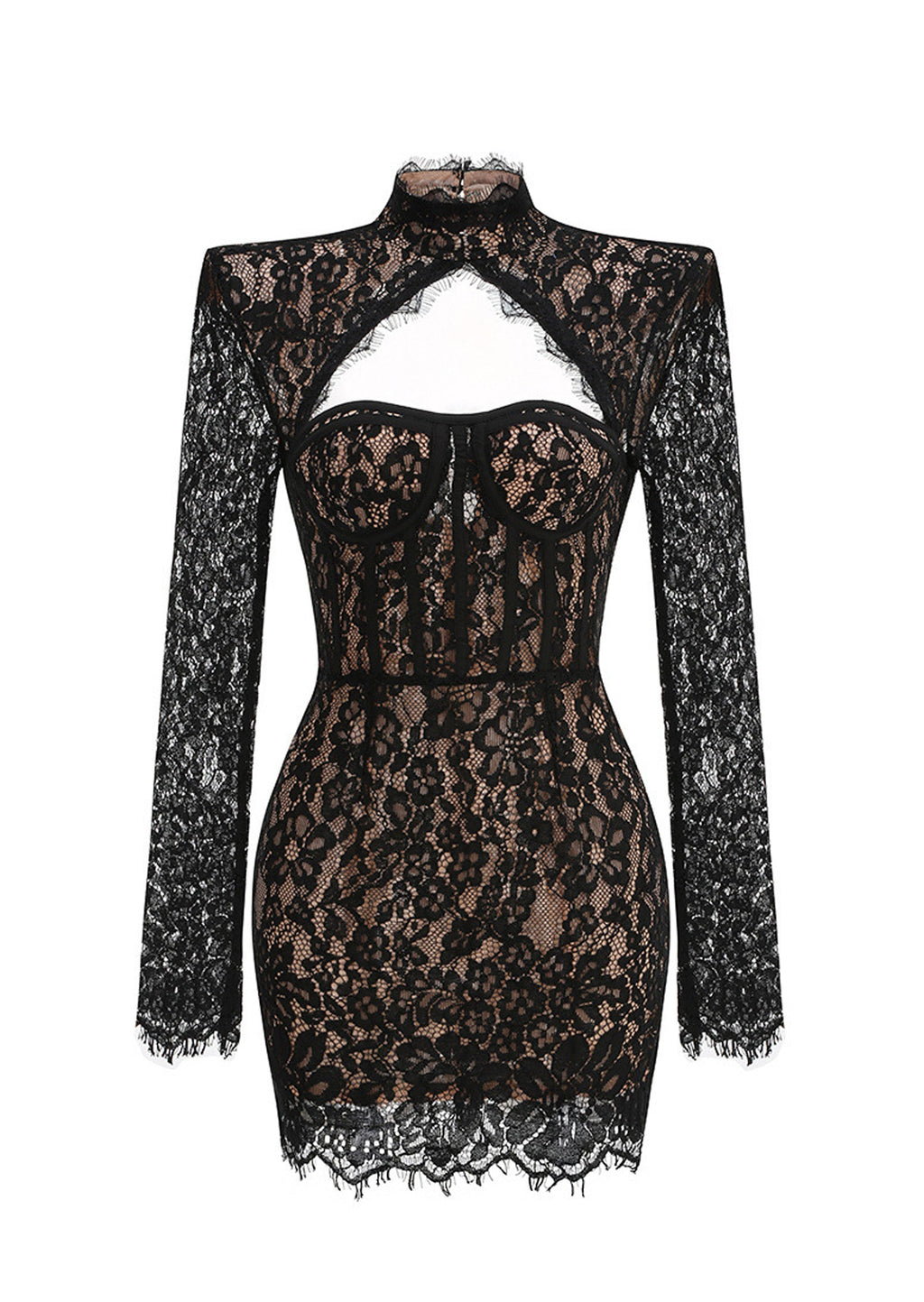 Jacory Long Sleeve Lace Mini Dress