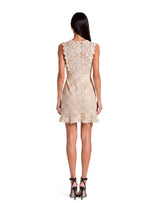 Admassu Lace Mini Dress