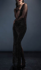 Mesh With Monochrome Lining  Maxi Dress