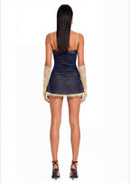 Bernie Stretch Mesh Mini Dress