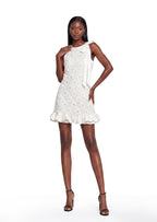 Iara Sleeveless Appliqué Mini Dress